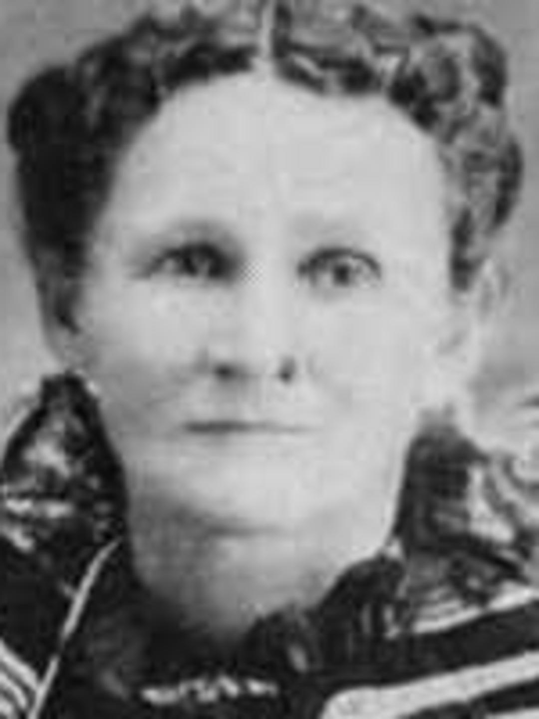Maria Elizabeth Hess (1851 - 1936) Profile